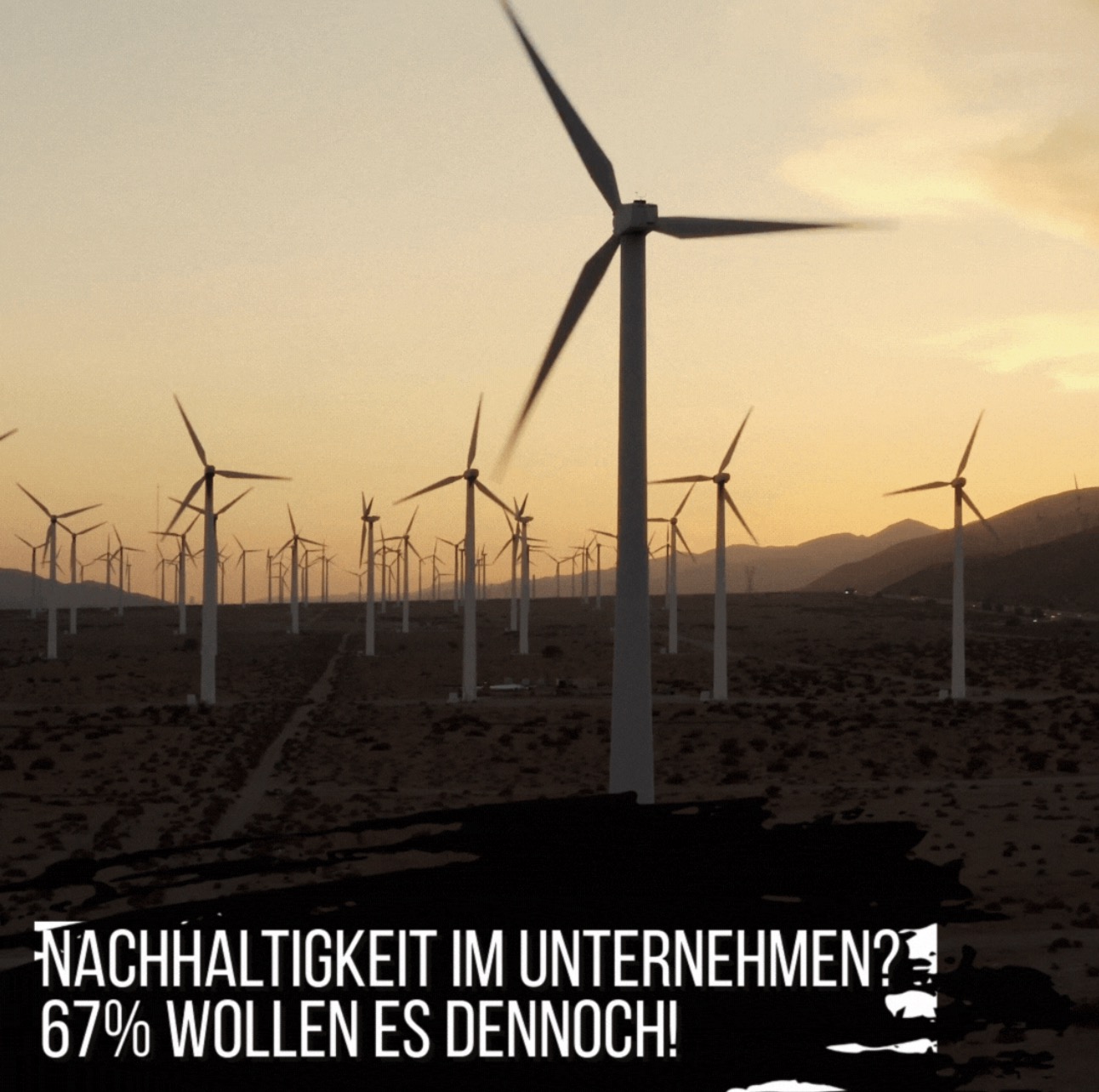 Nachhaltigkeit in Unternehmen!